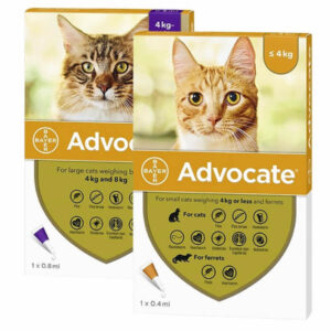 Cajas de las pipetas Advocate de Elanco para gatos.