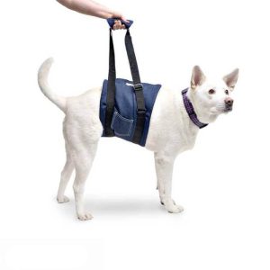 Walkin' Pets - Cabestrillo de Apoyo para Rehabilitación Canina