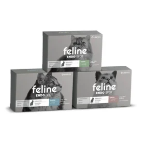 Gato de interior sano y relajado gracias a la protección antiparasitaria interna y externa de Feline Endospot.