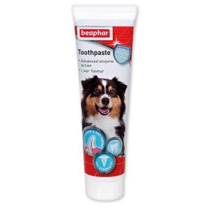 Tubo de la Pasta Dental con sabor a hígado de Beaphar, para el cuidado bucal diario de perros y gatos.