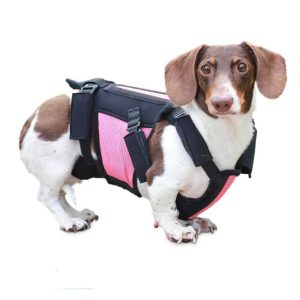 Soporte de columna o corsé ortopédico vertebraVe de Walkin' Pets para perros con dolor de espalda o IVDD.