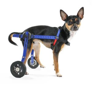 Silla de Ruedas para Perros Mini (Talla XS/Mini) - Walkin' Wheels
