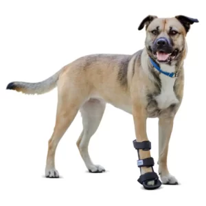 Férula para Perros Pata Delantera (Soporte Carpal) | Walkin' Pets