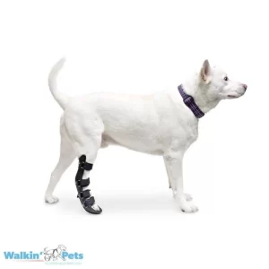 Férula para Perros Pata Trasera | Walkin' Pets
