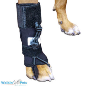 Corrector Propioceptivo Perros y Gatos - Pata Delantera (No-Knuckling Training Sock)
