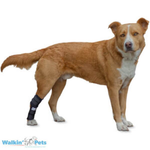 Soporte de Tarso/Corvejón para Perros - Walkin' Hock Hugger