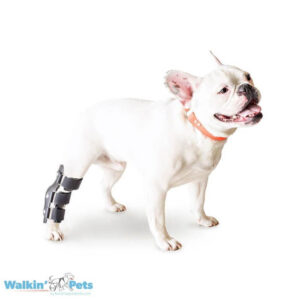 Walkin' Hock Splint (Férula de Corvejón/Tarso) – Pata Libre