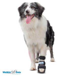 Walkin' Bootie Splint (Férula de Bota Corta) – Protección de Dedos y Pata