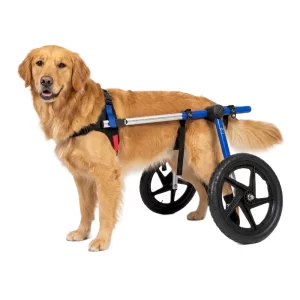 Silla de Ruedas Grande para Perros | Talla Large A Color Azul
