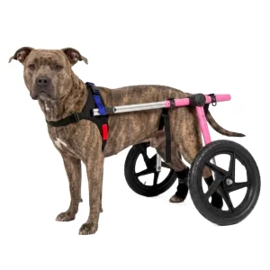 Silla de Ruedas Grande para Perros | Talla Large A Color Rosa