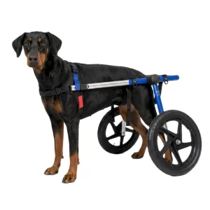 Silla de Ruedas Grande para Perros | Talla Large B Color Azul