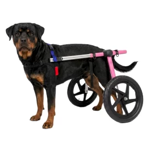 Silla de Ruedas Grande para Perros | Talla Large B Color Rosa