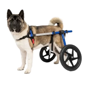 Silla de Ruedas Grande para Perros | Talla Large C Color Azul