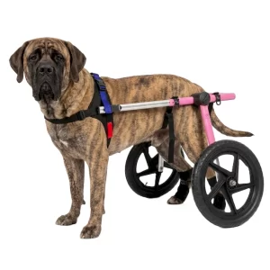Silla de Ruedas Grande para Perros | Talla Large C Color Rosa