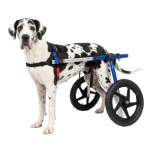 Silla de Ruedas Grande para Perros | Talla Large D Color Azul