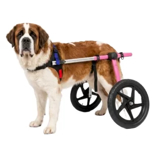 Silla de Ruedas Grande para Perros | Talla Large D Color Rosa