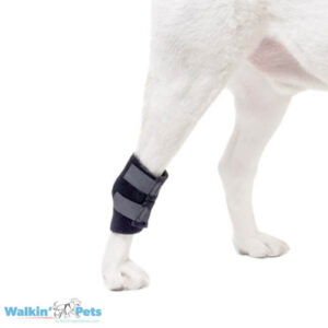 Walkin' Hock Wrap (Venda de Corvejón/Tarso) - Soporte Ligero Perros