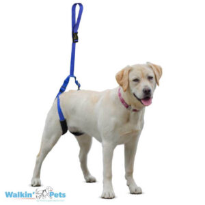 Walkin' Up-n-Go (Correa de Soporte Trasero) – Arnés de Levante para Perros