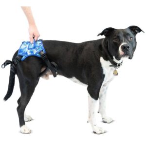 Arnés de Soporte Trasero Buddy Up (Walkin' Pets) – Levante y Movilidad