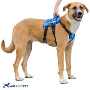 Arnés de Soporte Delantero Buddy Up (Walkin' Pets) – Levante y Movilidad