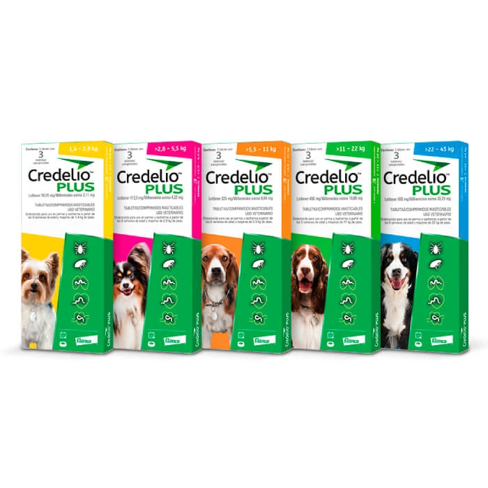 Credelio Plus perros
