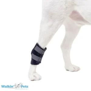 Venda de Tarso para Perros – Walkin’ Hock Wrap