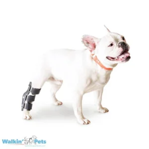 Férula de Tarso para Perros – Walkin’ Hock Splint