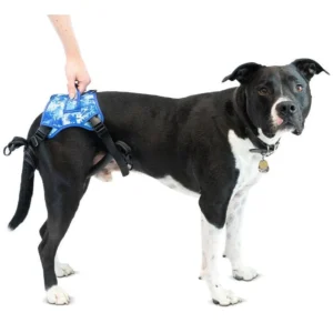 Arnés de Soporte Trasero para Perros – Walkin’ Buddy Up