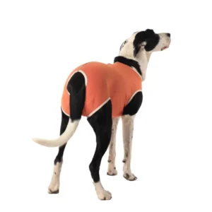 Kimba Body de Cobre – Postoperatorio de Castración para Perros Machos