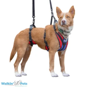 Arnés de Soporte Lift-n-Step para Perros – Walkin’ Pets