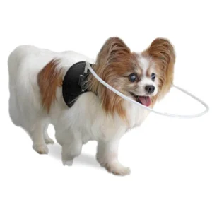 Arnés para Perros Ciegos con Halo – Walkin' Blind Dog Halo