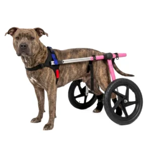 Silla de Ruedas Grande para Perros | Talla Large A Color Rosa