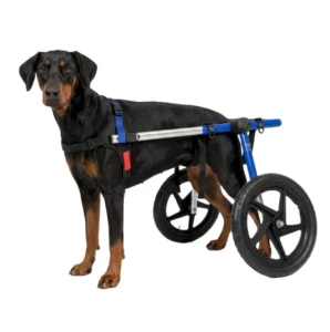 Silla de Ruedas Grande para Perros | Talla Large B Color Azul