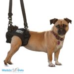 X emma rearharness 916px5854