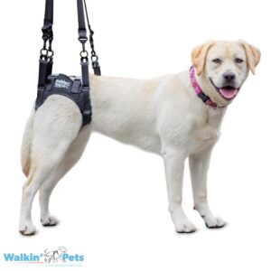 X walkin rear harness5415